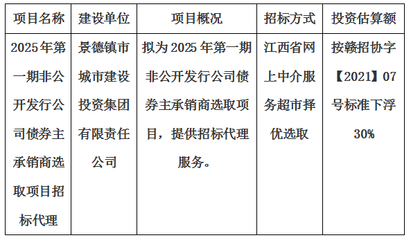 2025年第一期非公開發(fā)行公司債券主承銷商選取項(xiàng)目招標(biāo)代理計(jì)劃公告